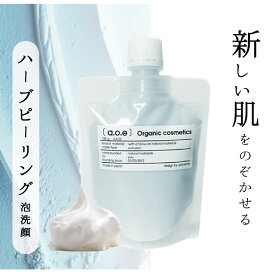公式 a.o.e エイジングケア用 ソフト ピーリング 洗顔 3ヶ月分 ごわつき くすみ ハーブピーリング 泡パック + クレイ泡洗顔 無添加 BOOST FACIALWASH 100g 30代 40代 50代