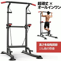 楽天市場】ぶら下がり健康器 yt-bls05の通販