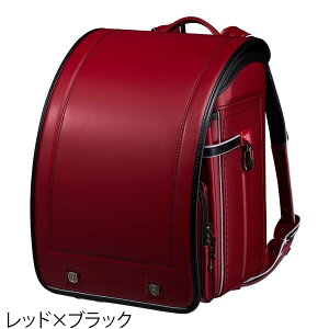 ��5%OFF�N�[�|���z�z���������h�Z�� �r�c�n�� �}�C�e�B KM-N02 �j�̎q 2026�N�ŐV���f�� �L���[�u �n�� NASA