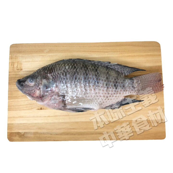 楽天市場 ティラピア呉郭魚 内臓 うろこ えら取り 約300g ラピア ナイルテラピア イズミダイ いずみ鯛 スズメ鯛 羅非魚 魚料理 冷凍食品 冷凍魚 台湾産 本味主義 楽天市場 ティラピア呉郭魚 内臓 うろこ えら取り 約300g ラピア ナイルテラピア イズミダイ いずみ鯛 スズメ鯛 羅非魚 魚料理 冷凍食品 冷凍魚 台湾産 本味主義