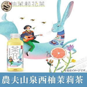 _vR M仒500ml@EE䂸EO[vt[cWX~EΒE\tghNEybg{g