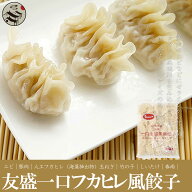 友盛 一口フカヒレ風味蒸し餃子 500g 中華名点特色魚翅風味餃子 ぎょうざ ギョーザ ふかひれ 風 フカヒレ…