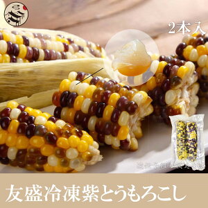 FⓀƂ낱 2{ ʕ gERV ؗ ؐH lC_앨 yY D] LV[R[ 冋o ʕ ʕĖ_ Ⓚ Mtg 蕨  v
