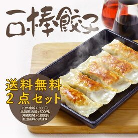【送料無料】棒餃子2点セット 一口サイズ 鉄板餃子 焼き餃子 一口棒餃子 ぎょうざ・ギョウザ）たっぷり80個入り【月間出荷量10万個突破】手作り 中華料理 人気商品 中華食材 ガチ中華