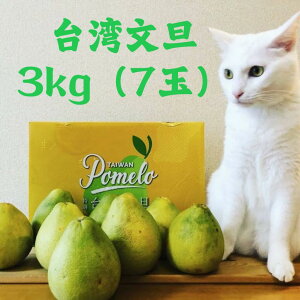 【秋限定】文旦 台湾産 約3kg <6玉入>ポメロ 台湾台南麻豆産 日本向け 台灣文旦柚 ゆず 柚子 贈答用 ご家庭用