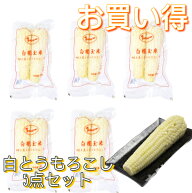 【送料無料】冷凍糯玉米棒（10本入）【2本×5点セット】 モチとうもろこし 白糯玉米 冷凍食品 2本入x5 ト…