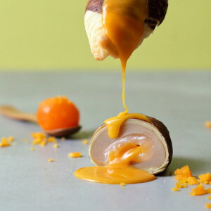 A[\X[t Ƃ `藑Q^C P[Li6jp`Iȓ_S 