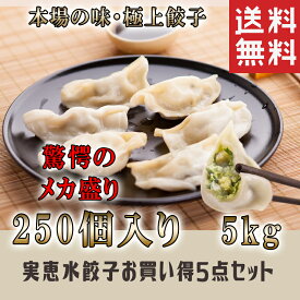 【送料無料】選べる5点セット ★実恵★特色水餃子 ニラ・蝦・セロリ 1kg×5袋 お買得 にら 韮 えび エビ ぎょうざ ギョウザ 中華料理 人気商品 中国名物 業務用