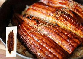【送料無料】うなぎ 誕生日 プレゼント 父の日 丑の日 鰻 蒲焼き 長蒲焼き 1本 約200g 簡易包装 無頭背開きジャポニカ種 電子レンジ調理可 うなぎ丼用 冷凍惣菜 和食食材