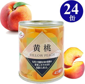  ʋl 4 312g 5 s[` ʋl t[c