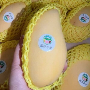 �y���������z���n�^�C�Y ���}���S�[ 4.5kg thai Mango ��䊉� ���I�썑�t���[�c ������ ���̓� �����p�ʕ� �ăM�t�g