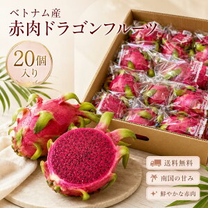 �y���������z�x�g�i���Y ���b�h�h���S���t���[�c 20�� �ԃh���S���t���[�c �V�N �g���s�J���t���[�c �썑�t���[�c �s�^�� �t���b�V���t���[�c �ʕ��b�V�N�t���[�c�b�ԓ��^�C�v�b�g���s�J