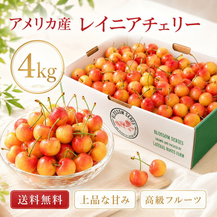 楽天市場】【送料無料】アメリカ産 レイニアチェリー 約4kg｜高級 