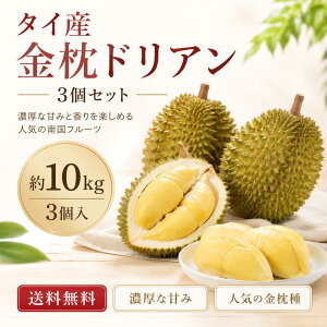 ドリアン」の人気商品一覧・価格比較 - 価格.com