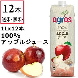 アップルジュース 1000ml×12本 果汁100% ギリシャ産 無添加 りんご ジュース 紙パック 業務用 まとめ買い 濃縮還元 1L 【送料無料】