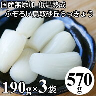 らっきょう 国産 鳥取 570g (190gx3袋) 無添加 低温熟成 ふぞろい らっきょう漬け ラッキョウ漬け 甘酢漬…