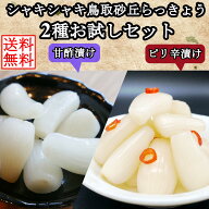 鳥取 らっきょう お試しセット 190g×2種 (甘酢漬け＆ピリ辛）国産 ふぞろい 無添加 低温熟成 ラッキョウ…