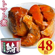 さば トマト煮 缶詰 150gx48缶 サバ 鯖 さば缶 おつまみ アテ 酒の肴 業務用 まとめ買い【送料無料】