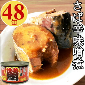 サバ缶 ピリ辛味噌煮 200gx48缶 マー活鯖缶詰 鯖 さば 缶詰 さば缶 おつまみ アテ 酒の肴 業務用 おつまみセット まとめ買い【送料無料】