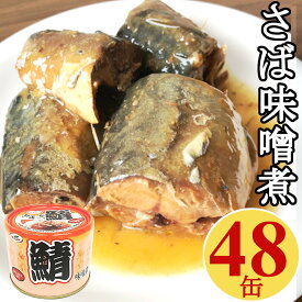 サバ缶 味噌煮 200gx48缶 鯖 さば 缶詰 さば缶 おつまみ アテ 酒の肴 業務用 おつまみセット まとめ買い【送料無料】