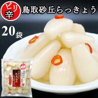 ピリ辛らっきょう 鳥取 190gx20袋 ふぞろい 無添加 低温熟成 国産 ラッキョウ漬け 甘酢漬け らっきょう …