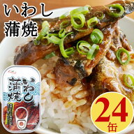 いわし 缶詰 蒲焼 100gx24缶 イワシ 鰯 まとめ買い 買い置き 備蓄 おつまみ 【送料無料】