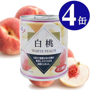  ʋl 312g×4 5  u ~ EO ʐ؂sv vgbv