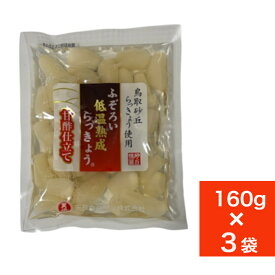 新商品 らっきょう 国産 鳥取 480g (160gx3袋) 無添加 低温熟成 ふぞろい らっきょう漬け ラッキョウ漬け 甘酢漬け 【送料無料】