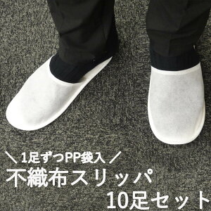y sDzXbp ( OJ / OԂ ) 10g z 24.0cm`27.0cm zCg F / ĝăXbp O OԂ Xbp   sDz  ^ Ɩp qp ze  i A