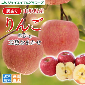 りんご 訳あり サンふじ 約5kg リンゴ ご自宅用 山形県産 林檎 山形 (一部地域別途送料) ap12
