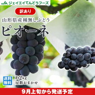 訳あり ぶどう ピオーネ 山形県産 約2kg(房数おまかせ) 送料無料※一部地域を除く gr05