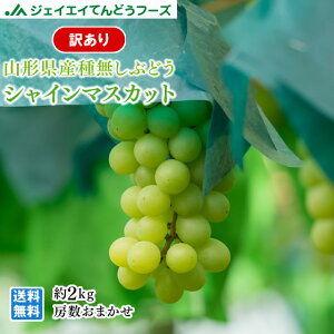 ʌ VC}XJbg 󂠂 2kg(tl) 10{`11{蔭\ ꕔn͕ʓrǉ