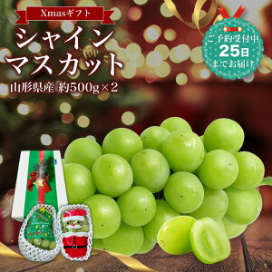 NX}X Mtg Ԃǂ Gi R`Y VC}XJbg 2[(500g×2) 