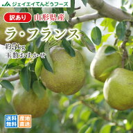 訳あり 果物 送料無料 山形県産洋梨ラフランス 約5kg ※一部地域は別途送料追加 rf21 11月上旬ころより順…
