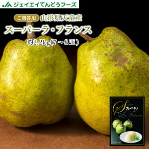 ʕ Mtg  R`Vs m X[p[tX 2.2kg(2L`3LE7`8ʓ) Mtg Ε 11{蔭 BEEꕔ rf14