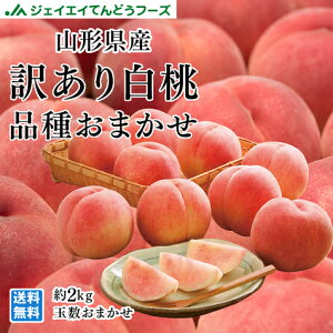 󂠂  R`Y  i킨܂ 2kg ʐ܂ ꕔn͕ʓr 9{菇o pc05
