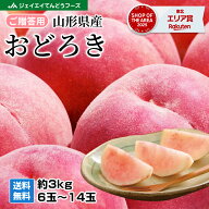 硬い桃 贈答用 山形県産 桃 もも おどろき 白桃 約3kg(6〜14玉)　pc08