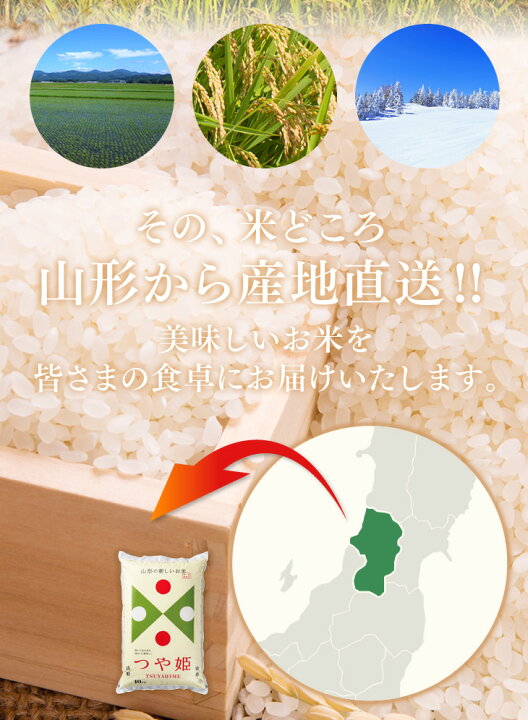 楽天市場】無洗米 令和7年産 山形県産米 はえぬき 20kg(5kg×4) ※一部 