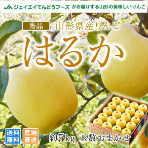   Gi JAĂǂ R`Y񂲂͂邩 5kg(ʐ܂) x15xȏてꕔn͕ʓrǉ Mtg ~Mtg p ap36