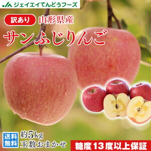 xۏ 󂠂 Tӂ 5kg  R`Y  (ʐ܂) ol ꕔn͕ʓrǉ t[c ʕ Tӂ ʕ 11{`{菇o ap38