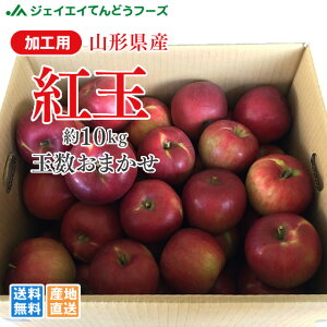 󂠂 Hp g(傭) 10kg  R`Y 10kg(ʐ܂) ꕔn͕ʓrǉ t[c ʕ