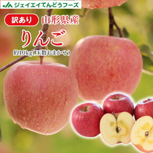 󂠂  10kg  R`Y 10kg(28`56) ꕔn͕ʓrǉ t[c ʕ ap13