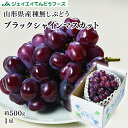 ぶどう シャインマスカット ギフト 秀品 山形県産ブラックシャインマスカット 1房(約500g) 富士の輝き