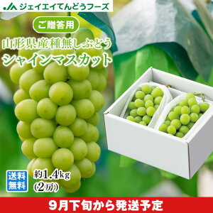 \ p Ԃǂ Gi R`YVC}XJbg 2[(1.4kg)@ꕔn͕ʓrǉ@gr09