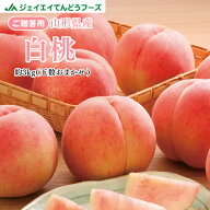 贈答用 秀品 山形県産 白桃 品種おまかせ 約3kg 6〜14玉ギフト 送料無料※一部地域は別途送料 ※9月上旬…