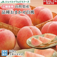 贈答用 山形県産白桃 品種おまかせ 約2kg(玉数おまかせ) ※一部地域は別途送料 果物　フルーツ　pc15