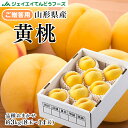 贈答用　山形県産 黄桃 約3kg(8〜14玉) 秀品 ギフト 一部地域は別途送料追加 8月中旬～下旬より順次出荷 pc12