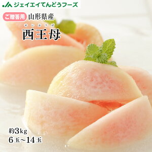 y\zR`Y   3kg(6`14) Mtg Gi ꕔn͕ʓrǉ 9{菇opc10