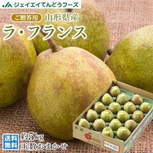 Mtg  R`YmtX5kg ̂Ή Ε BEEꕔ rf20 11{菇o