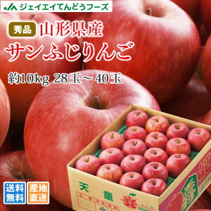  Mtg  Tӂ Gi 10kg(26`40) R`Y ꕔn͕ʓr Ε ap19